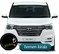 Hyundai H1 (2021 Model)